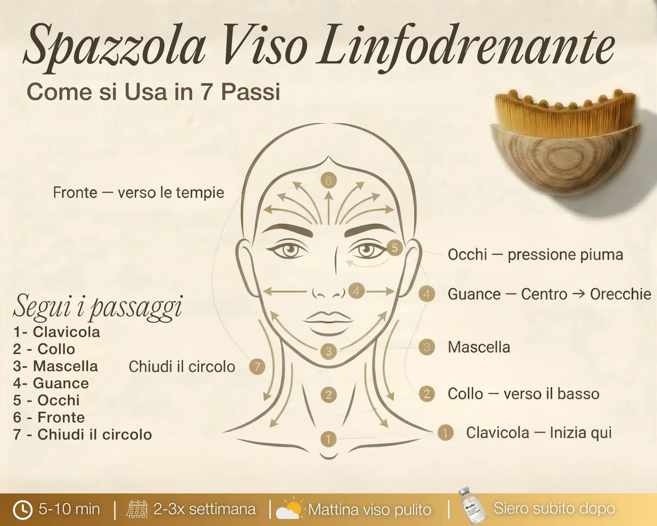 Lymphatic Face Brush